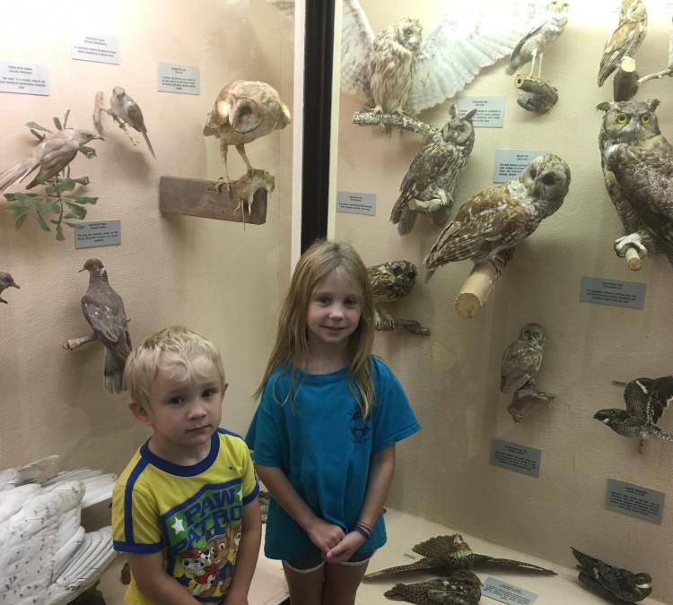 LSU Museum of Natural Science (Baton&nbspRouge,&nbspLA)